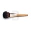 Clarins Powder Brush