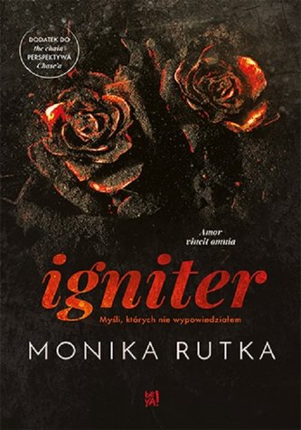 Igniter Myśli, których nie wypowiedziałem