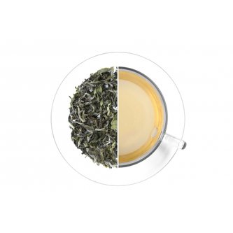 Oxalis Darjeeling Samabeong Spring Blossom čerstvá sklizeň 2023 50 g