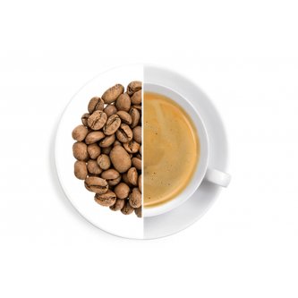 Oxalis Kostarika Palmichal Black Honey 150 g - káva