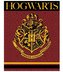 Fleecová deka HARRY POTTER