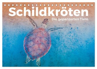 Schildkröten - Die gepanzerten Tiere. (Tischkalender 2024 DIN A5 quer), CALVENDO Monatskalender
