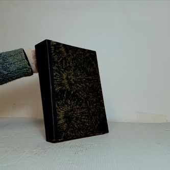 Dřevo v přírodě a řemeslech, v živnosti a průmyslu vůbec