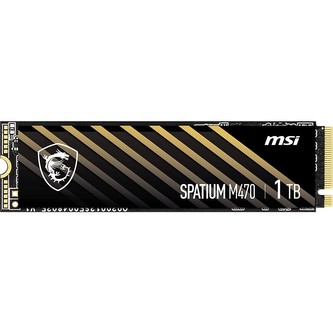 MSI SPATIUM M461, M.2 - 2TB