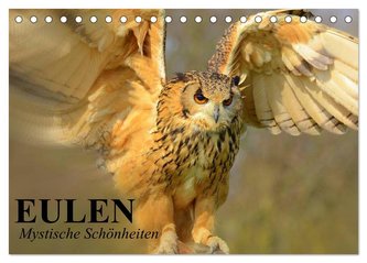 Eulen. Mystische Schönheiten (Tischkalender 2024 DIN A5 quer), CALVENDO Monatskalender