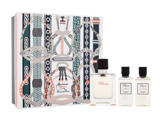 Hermes Terre d´Hermes toaletní voda 50 ml + sprchový gel 40 ml + voda po holení 40 ml