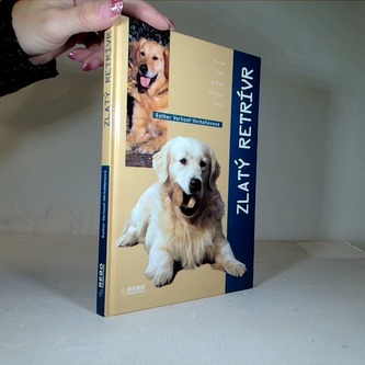 Zlatý retrívr