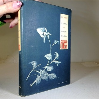 Vřava - polní tráva