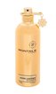 Montale Paris Aoud Leather Parfémovaná voda 100 ml unisex