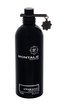 Montale Paris Steam Aoud Parfémovaná voda 100 ml unisex