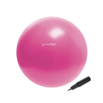 YB01N 55CM RŮŽOVÝ GYMNASTICKÝ MÍČ HMS