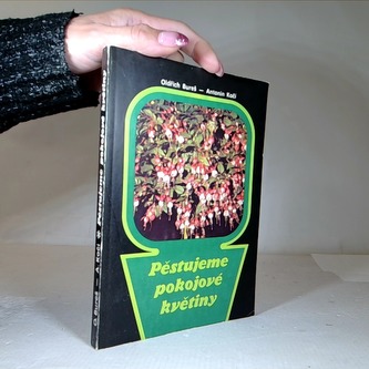 Pěstujeme pokojové rostliny