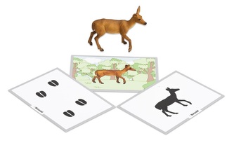 BETZOLD Lesní zvířátka dětská slovní hra