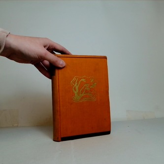 MIssissippi valebná matka řek