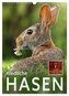 Niedliche Hasen (Wandkalender 2024 DIN A3 hoch), CALVENDO Monatskalender