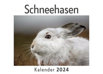 Schneehasen (Wandkalender 2024, Kalender DIN A4 quer, Monatskalender im Querformat mit Kalendarium, Das perfekte Geschenk)