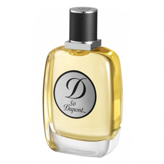S.T. Dupont So Dupont Pour Homme Toaletní voda 100 ml pro muže