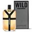 Dsquared2 Wild Toaletní voda 100 ml pro muže Tester