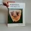 Scientific American carthaginian head