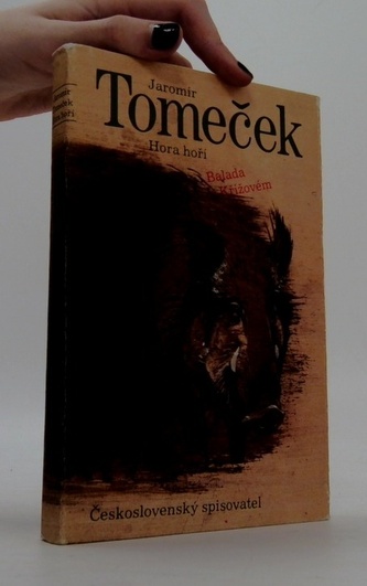 Balada o křížovém králi