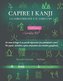 Capire i kanji, la loro origine e il loro uso: Un corso di kanji (e un piccolo dizionario) per principianti e non! Per capire, r