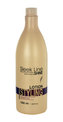 Stapiz Sleek Line Styling Objem vlasů 1000 ml pro ženy