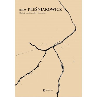 Adaptacje teatralne, radiowe i telewizyjne