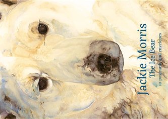 The Ice Bear 10 Postcard Pack