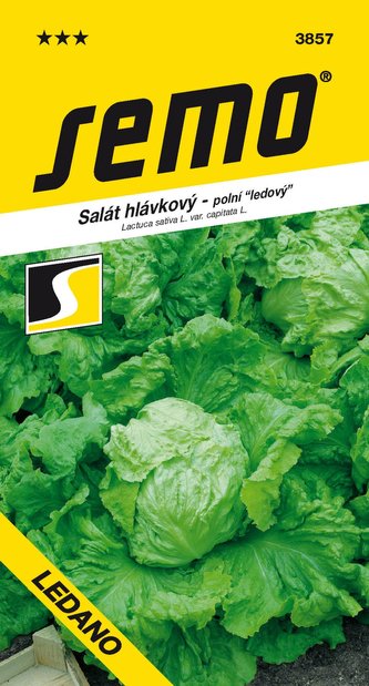 Salát ledový - Ledano polní 0,6g