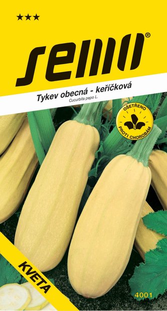 Tykev keříčková - Kveta 3g