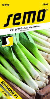 Pór letní - Moravín F1 2g