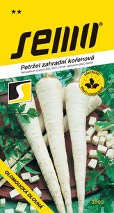 Petržel kořenová - Olomoucká dlouhá 3g
