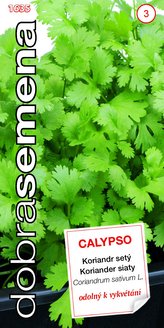 Dobrá semena Koriandr - Calypso 2g
