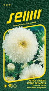 Astra čínská - Super princess bílá 0,5g