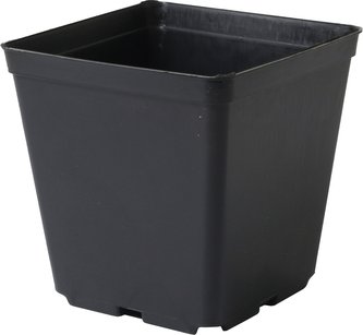 Kontejner pevná kvalita 7x7x8 cm - 10 ks