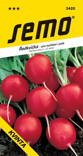 Ředkvička červ. - Kvinta rychl,pole celoroční 5g