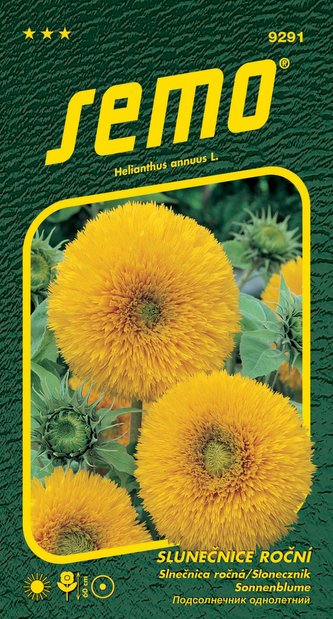 Slunečnice roční - Teddy bear 1g