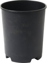 Kontejner růže - 2 l