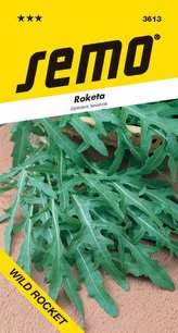 Roketa setá - Wild Rocket - Diplotaxis tenuifolia 1,2g