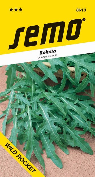 Roketa setá - Wild Rocket - Diplotaxis tenuifolia 1,2g