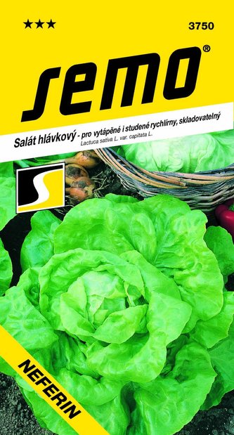 Salát k rychlení - Neferin stud. skleníky a fol. 0,6g