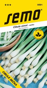 Cibule sečka - Gerda zimní, celoročně pro nať 2g