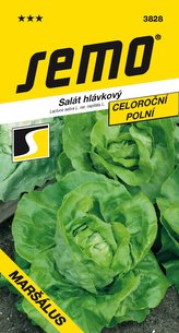 Salát celoroční - Maršálus PROFI polní 0,6g