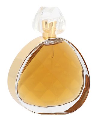 Elizabeth Arden Untold Absolu Parfémovaná voda 100 ml pro ženy
