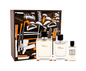 Hermes Terre D´Hermes toaletní voda 100 ml + toaletní voda 5 ml + sprchový gel 40 ml