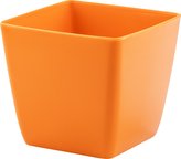 Obal Hyacint - oranžový 8x8 cm