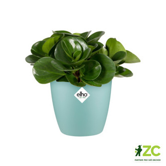 Obal Brussels Classic - mint 14 cm
