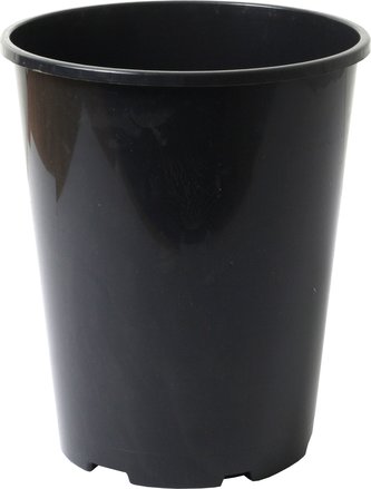 Kontejner růže - 4 l