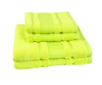 Forbyt, Ručník nebo osuška, New Bambus Line, zelený 30 x 50 cm