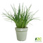 Květináč Green Basics - stone green 40 cm